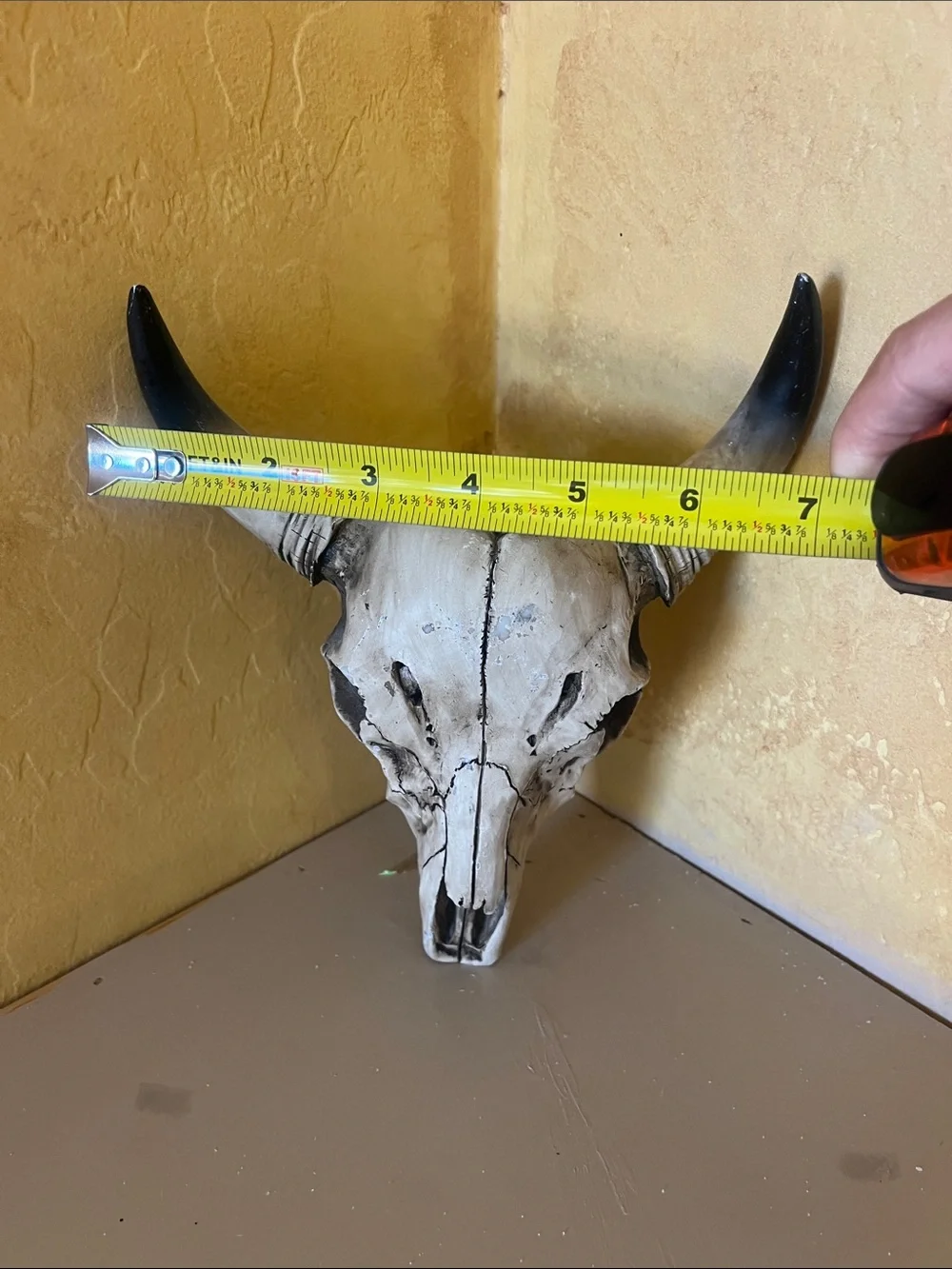 Decorative Faux Bull Skull Wall Art - Cream and Black
